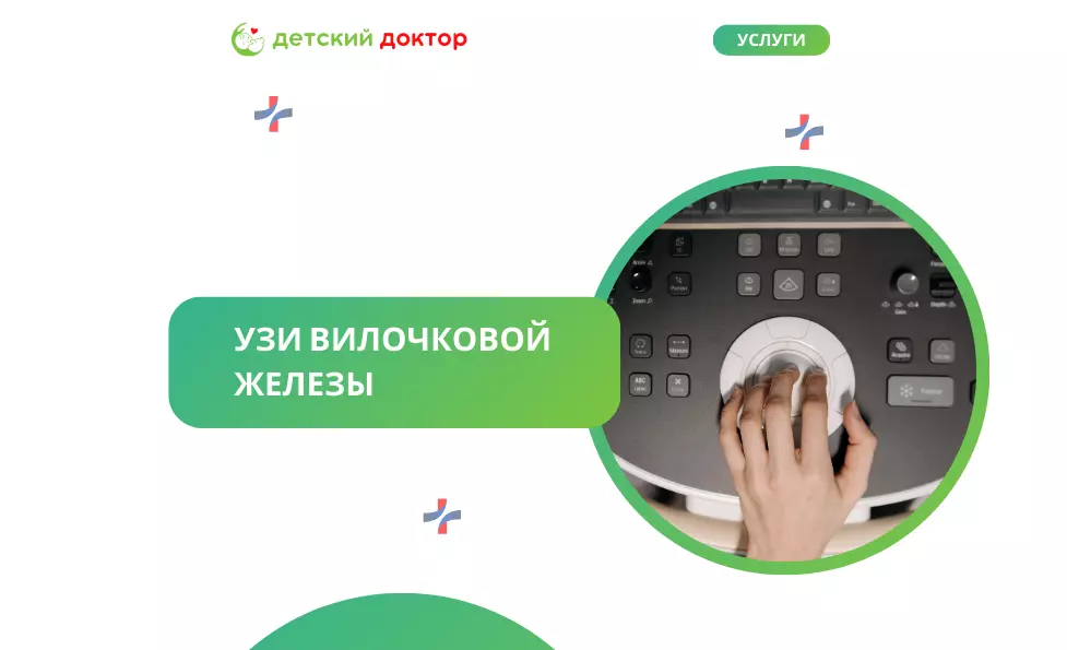 УЗИ вилочковой железы